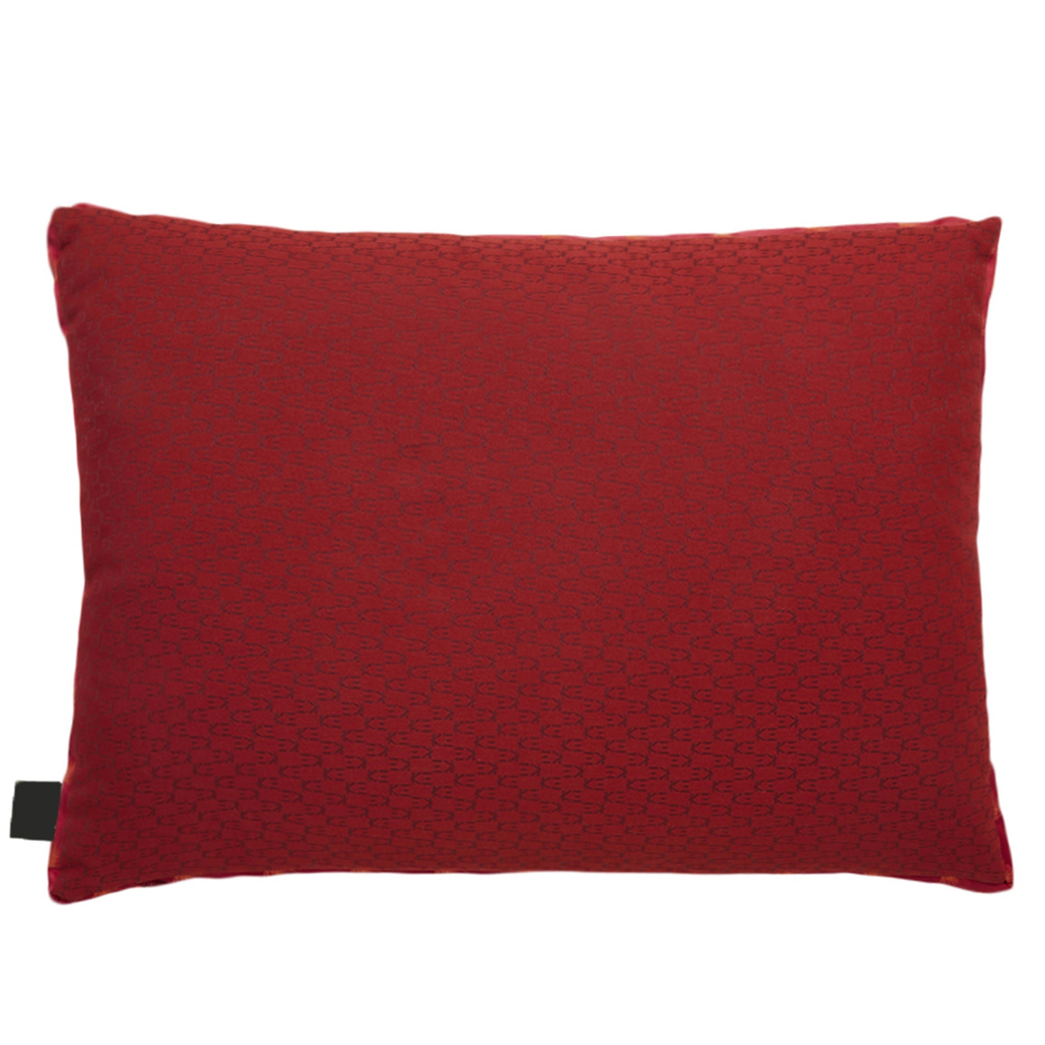 BUTTERFLY Cushion 50x70cm - K三