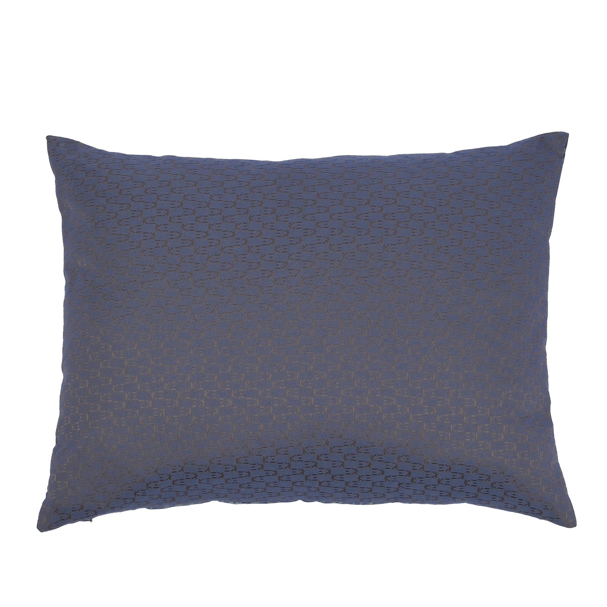 OTAKI Cushion 60x45cm - K三