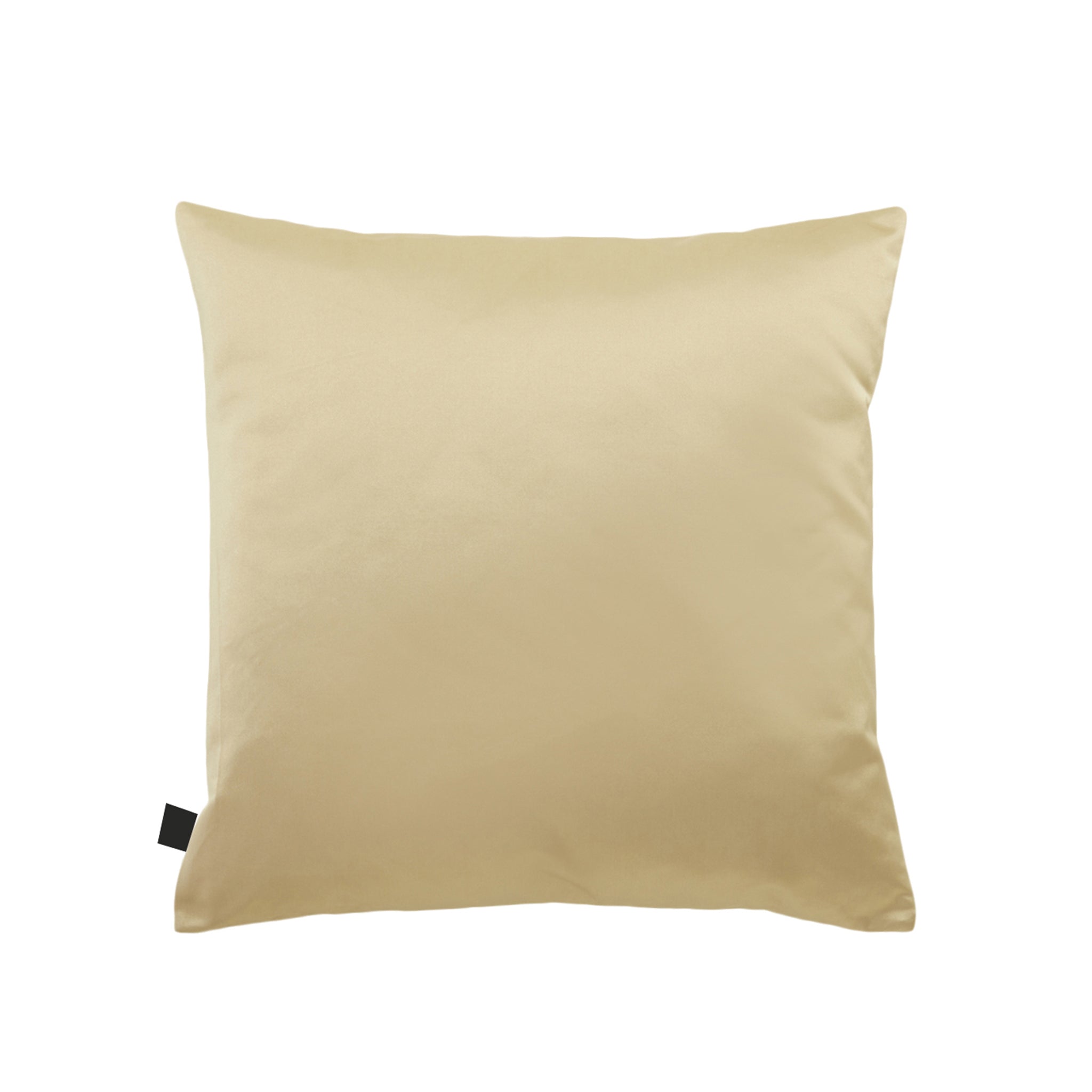 PHOENIX Cushion 50x50cm - K三