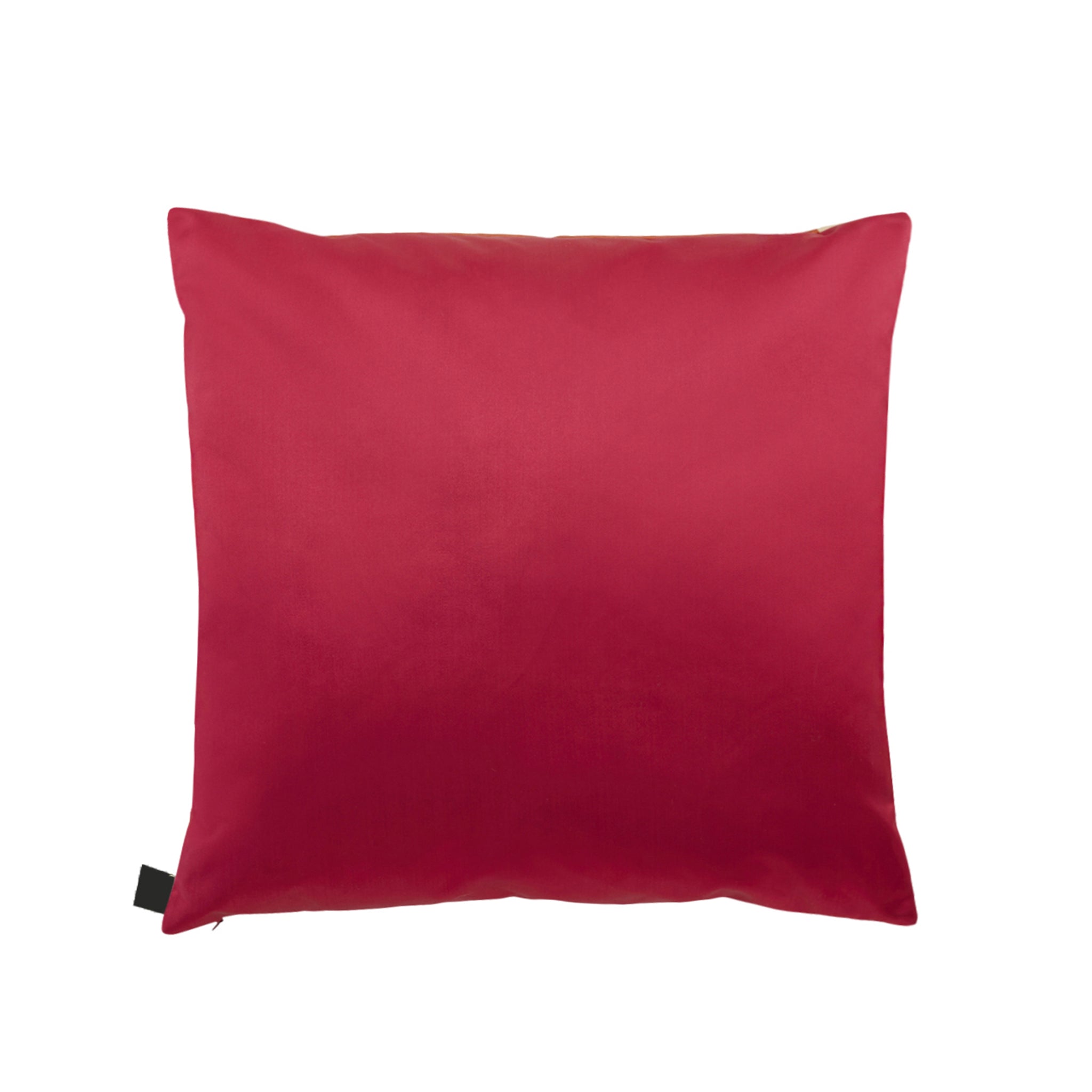 PHOENIX Cushion 50x50cm - K三