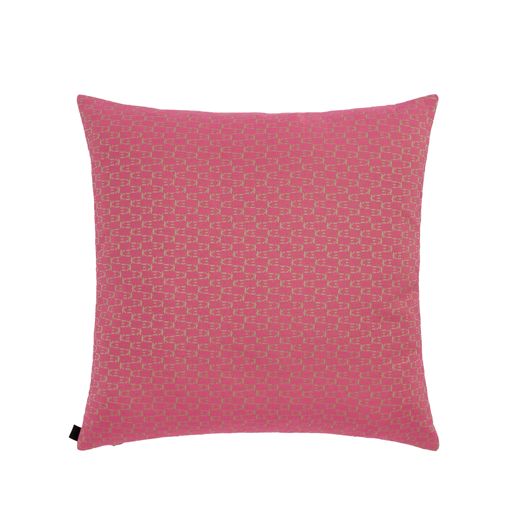 PIVOINE Cushion 50x50cm - K三
