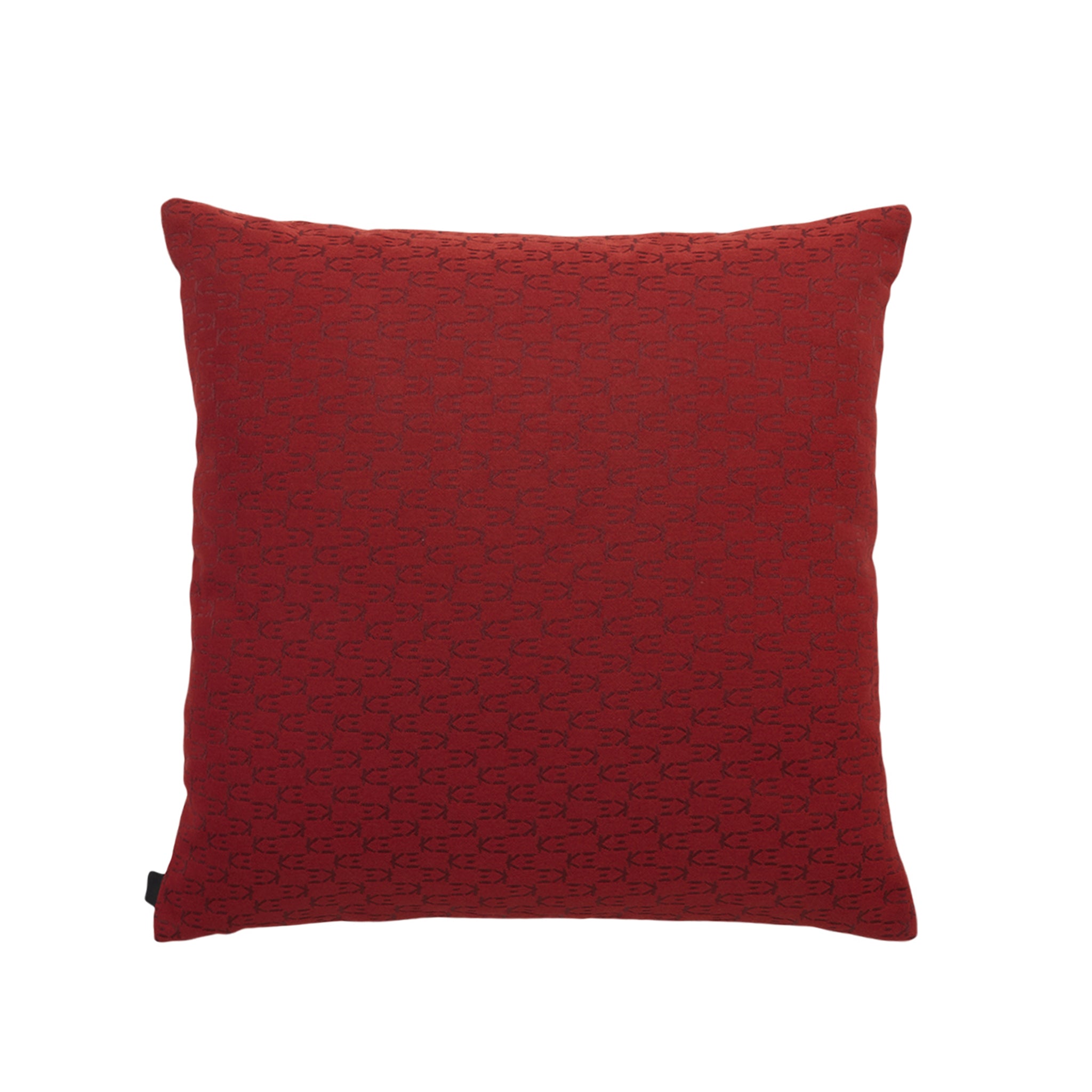 PIVOINE Cushion 50x50cm - K三